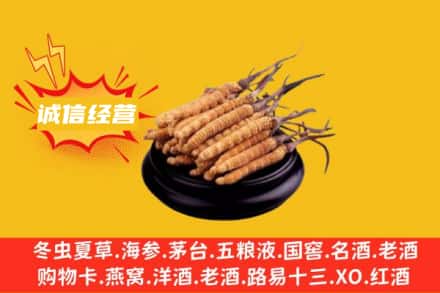 齐齐哈尔富拉尔基回收冬虫夏草